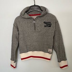 Roots Cabin Quarter Zip Sweater
